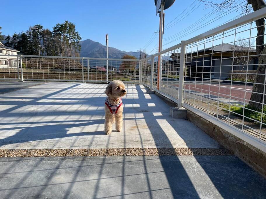 Mt. Fuji Kokoワンちゃんokの新築貸別荘 Fujikawaguchiko Exteriör bild