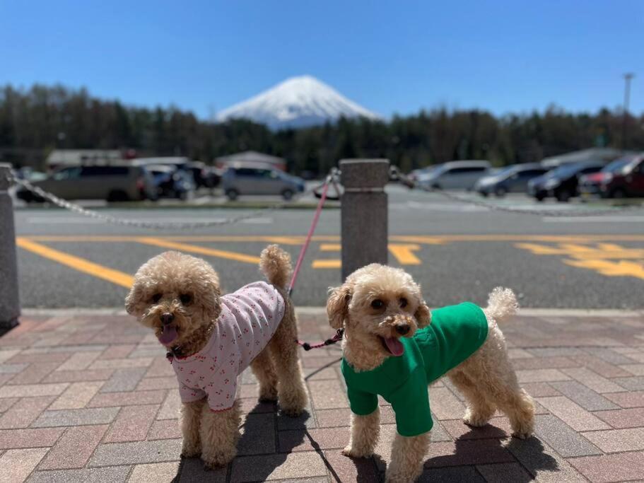 Mt. Fuji Kokoワンちゃんokの新築貸別荘 Fujikawaguchiko Exteriör bild